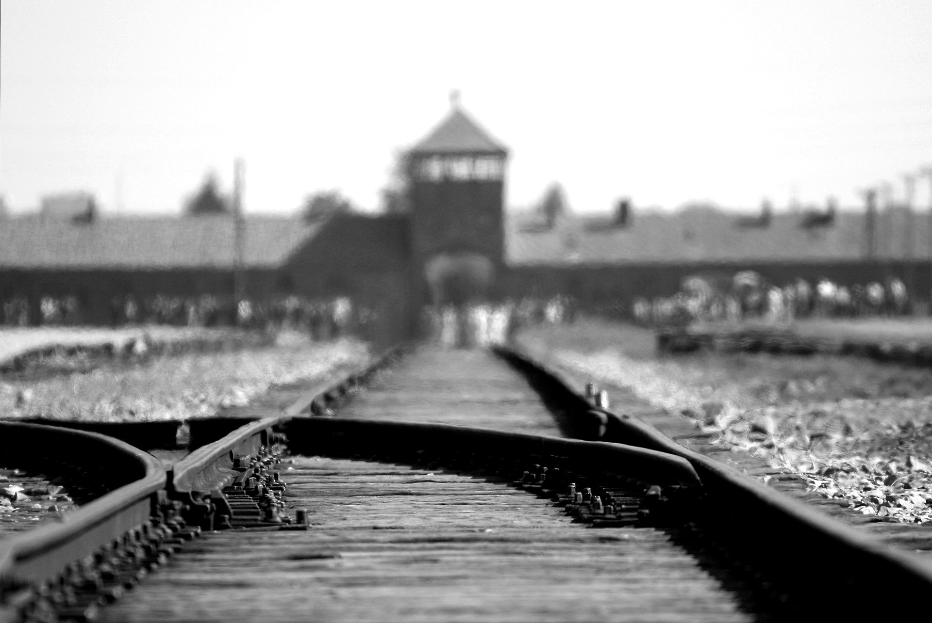 Gedenkstätte Auschwitz-Birkenau | Polen | Bildungsurlaub